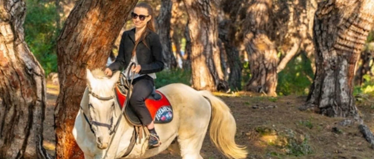 ما يجب أن تعرفه قبل القيام بجولة ركوب الخيل