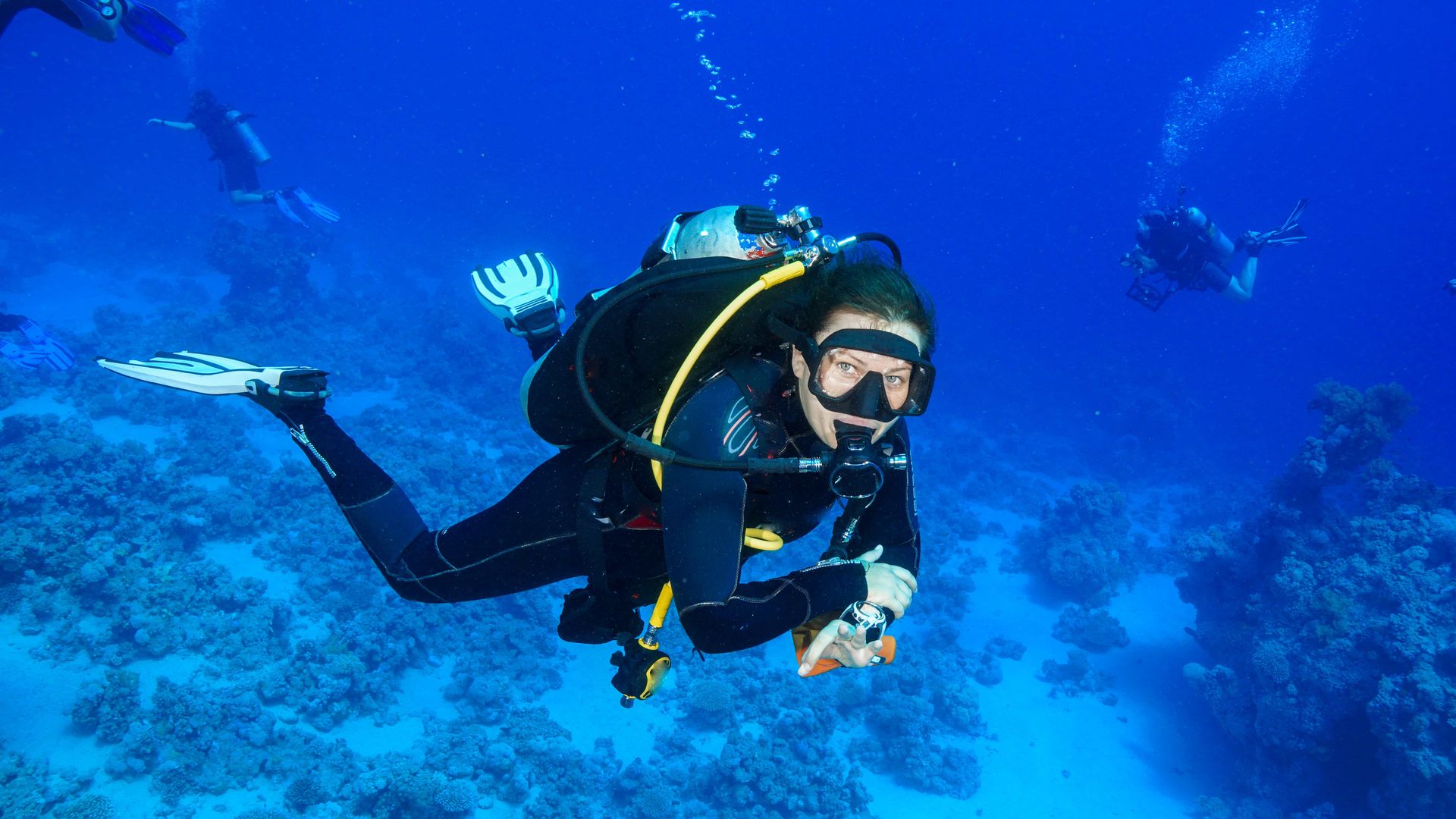 -image-4