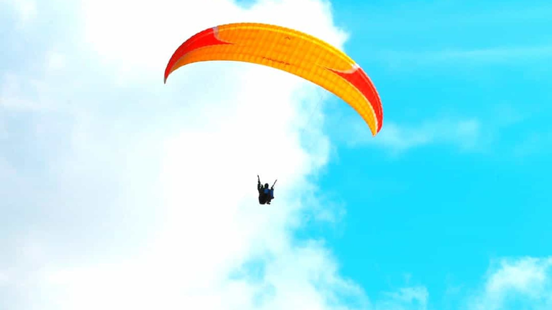 -image-4