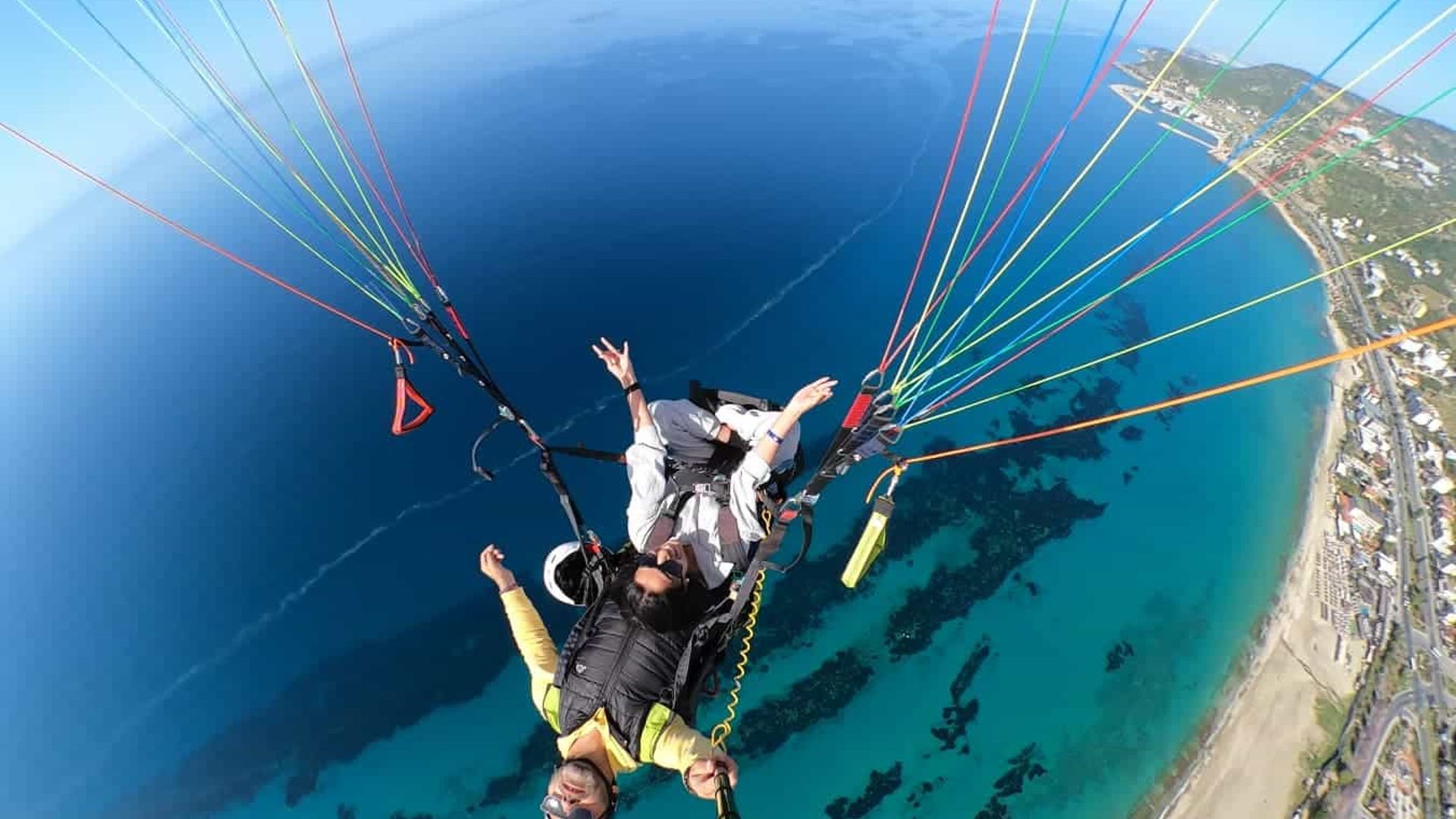 -image-4