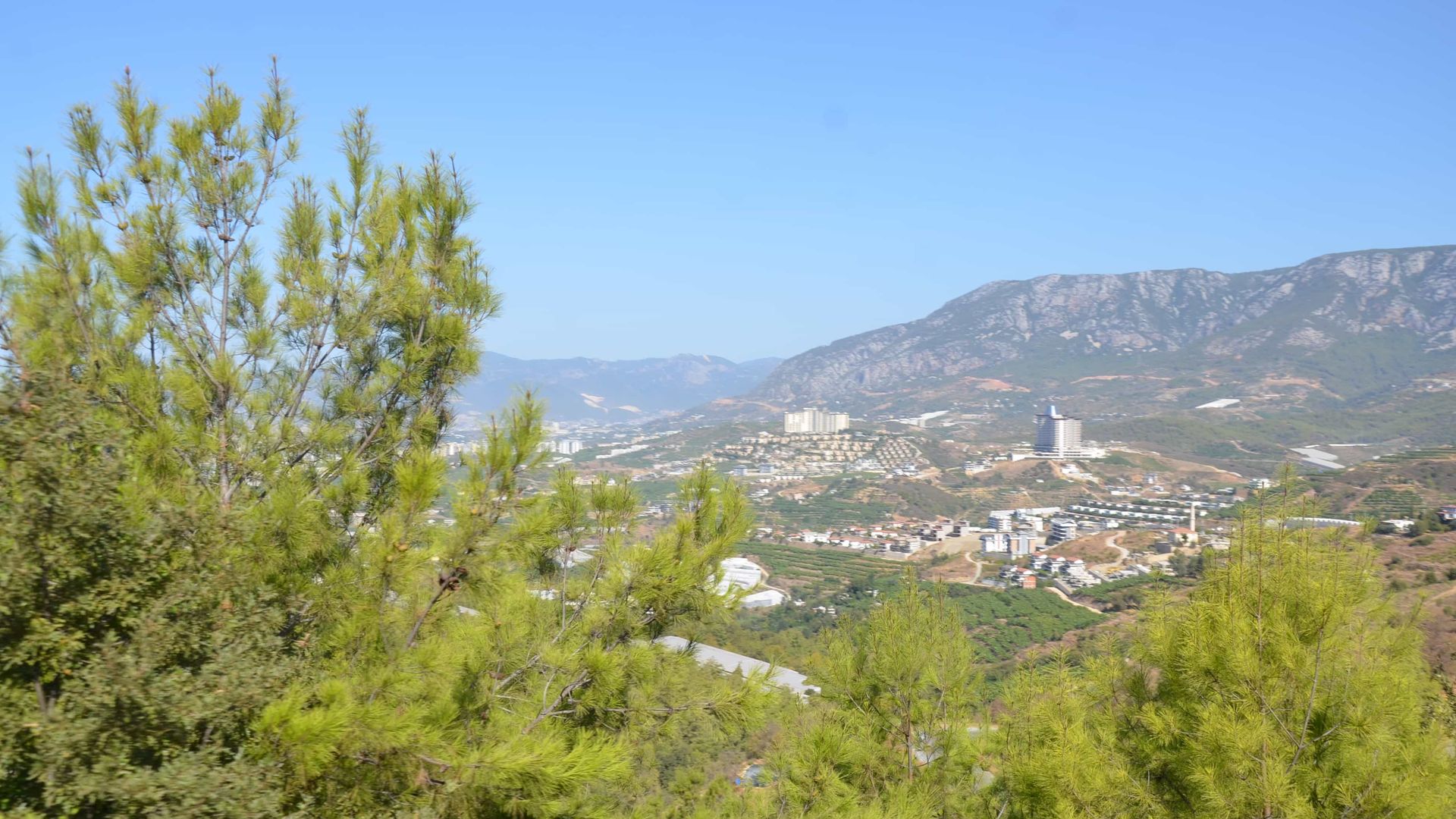 -image-2