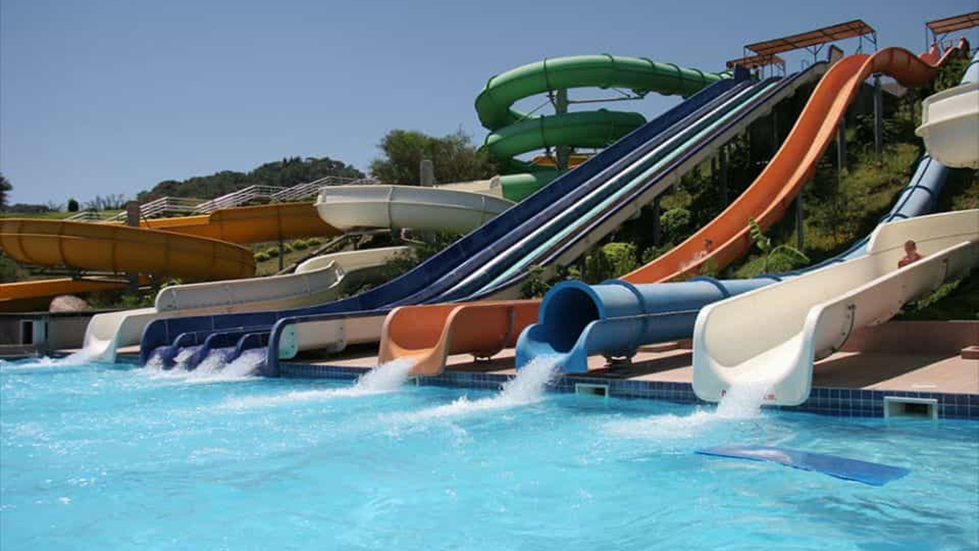 -image-4
