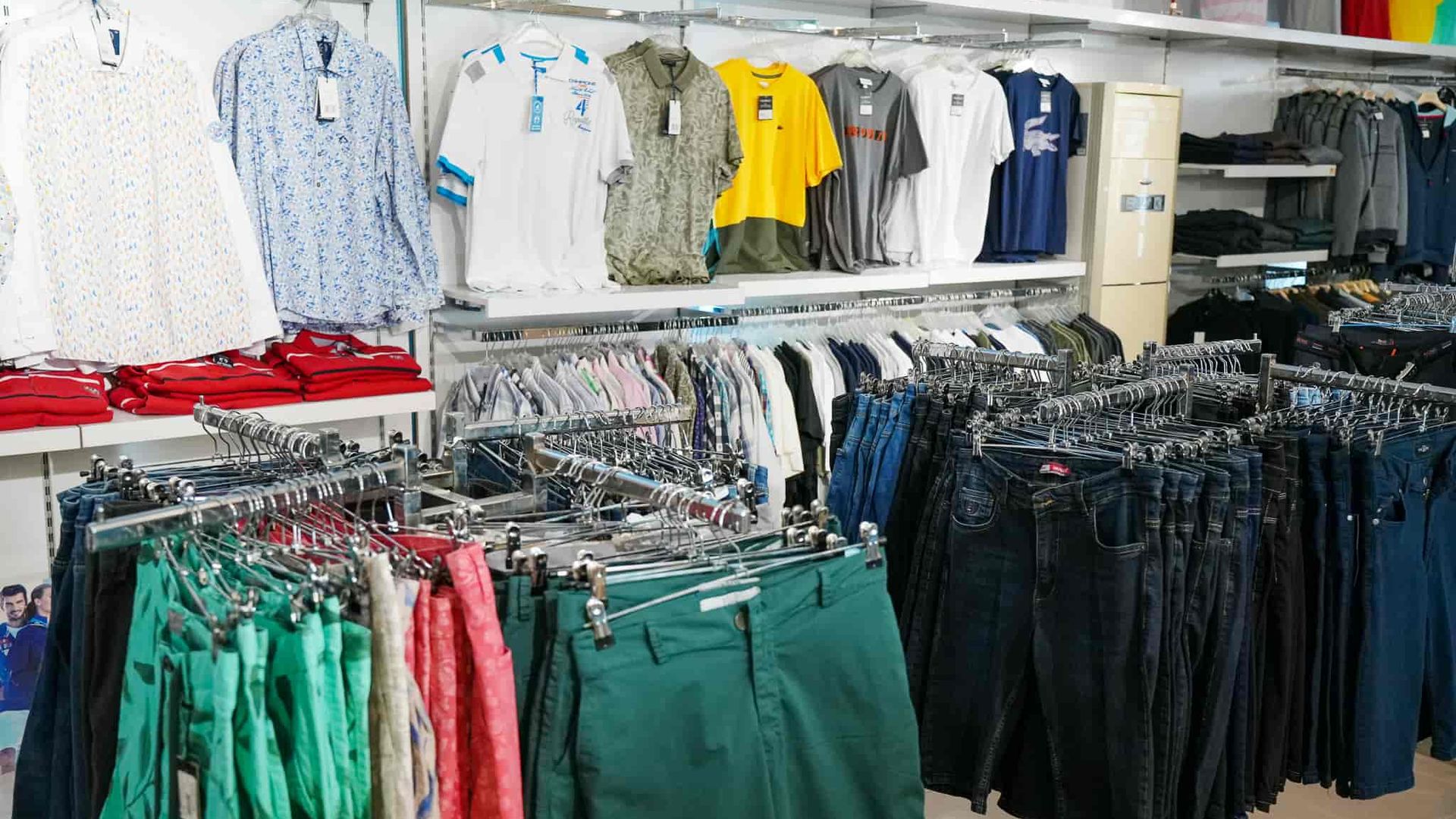 -image-3