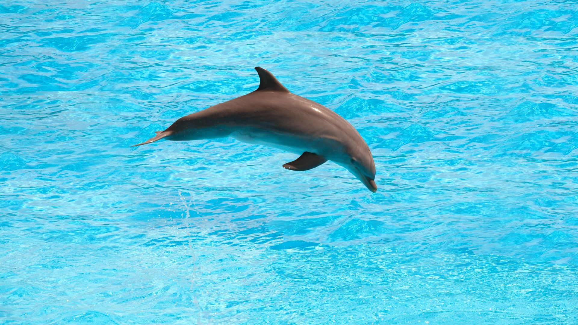 -image-3
