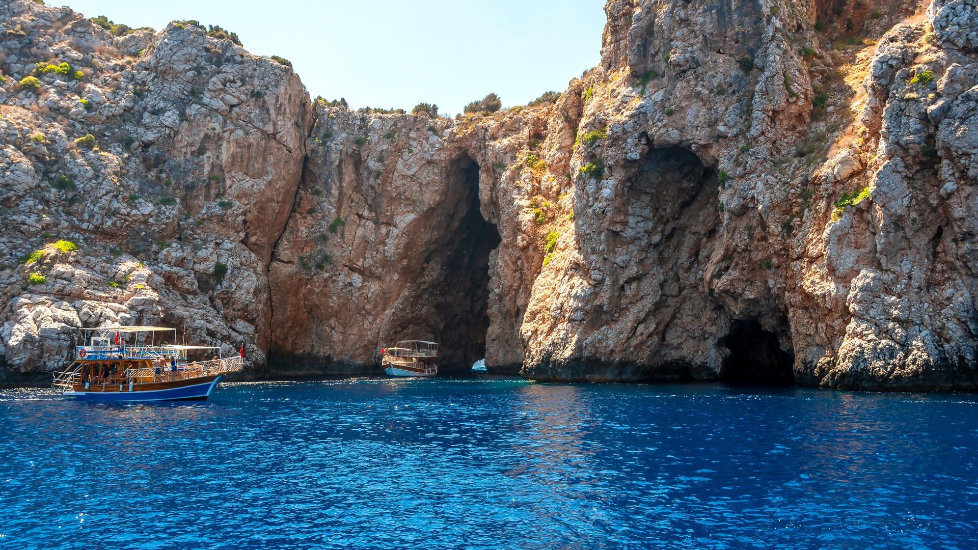 -image-4