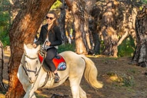 You Should Know Before Going on a Horseback Riding Tour