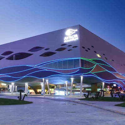 Antalya Aquarium Tunnel Full Day Tour Discover the Underwater World