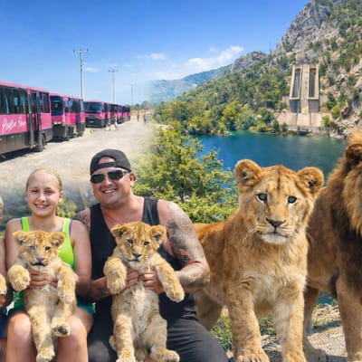 Mix Safari Tour Including  Zoo Visit Transfer & Lunch Included