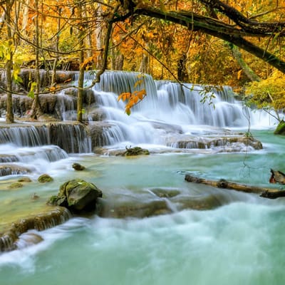 Natur & Landschaft