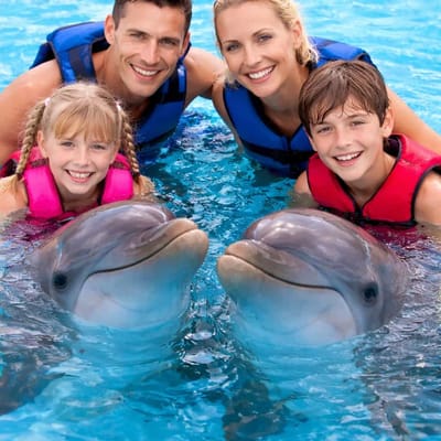 Alanya Dolphin Swimming Experience The Ultimate Family Day Out