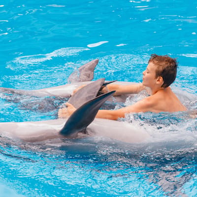 Alanya Dolphin Show Tour – One of the Best Family Tours in Alanya