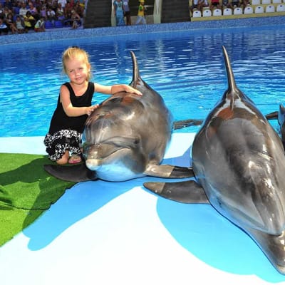 Swim with Dolphins in Alanya  Best Family Adventure