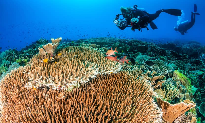Kemer Scuba Diving Trip: Two Bays with Lunch and Hotel Pickup 3