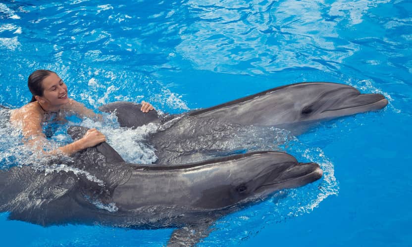 Swim with Dolphins in Alanya: Premium Tour with Transfer 6