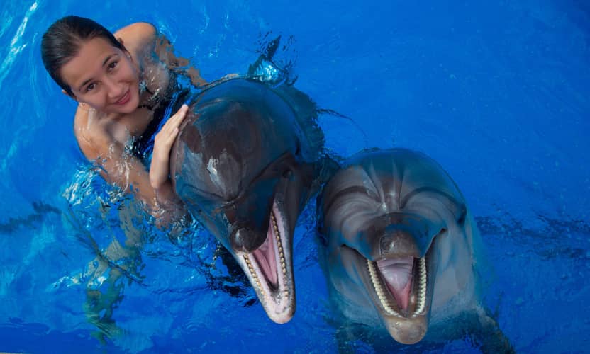 Swim with Dolphins in Alanya: Premium Tour with Transfer 3