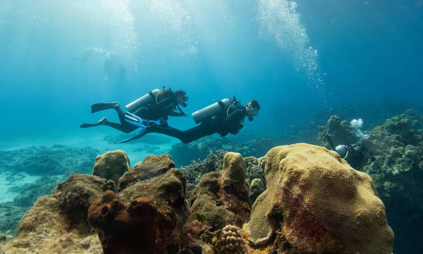 Best Alanya Scuba Diving Cruise with Lunch and Transfer 4
