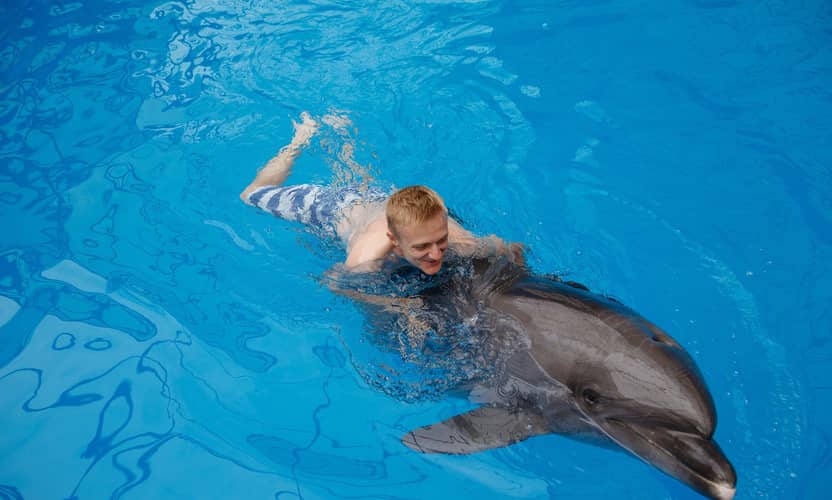 Swimming with Dolphins from Kemer with Hotel Transfer 3