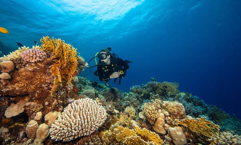 Best Alanya Scuba Diving Cruise with Lunch and Transfer 7