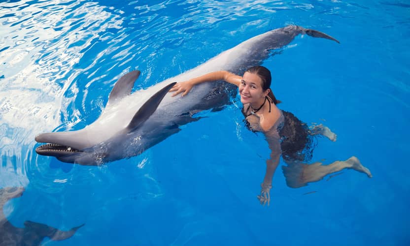 Swimming with Dolphins from Kemer with Hotel Transfer 4
