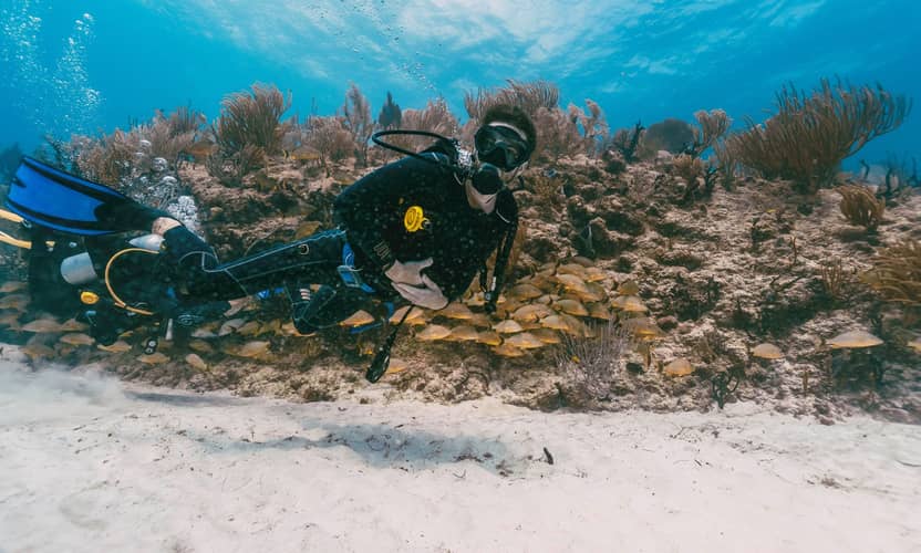 Kemer Scuba Diving Trip: Two Bays with Lunch and Hotel Pickup 6
