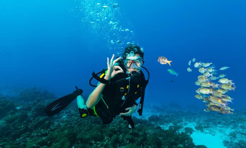 Best Scuba Diving Tour in Alanya No Experience Needed 3