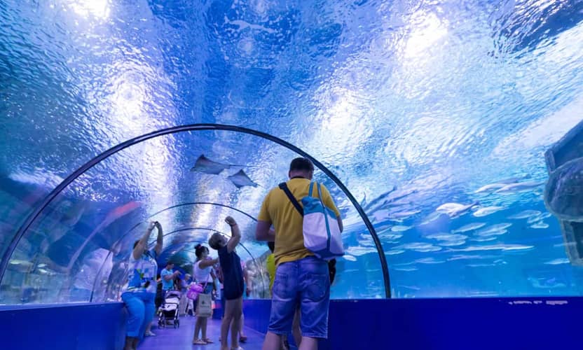 Antalya Aquarium Tour from Side with 131 m Tunnel and Free Time 4