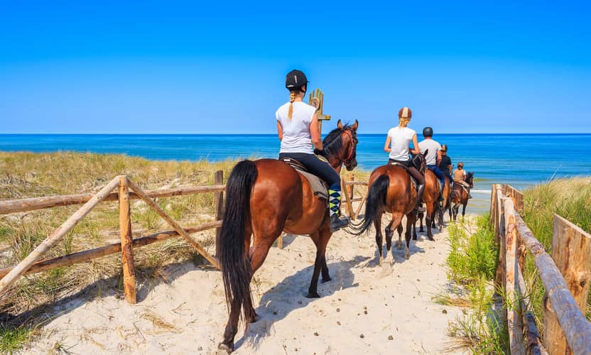 Premium Horse Riding in Antalya: Pine Forest to Lara Beach 2