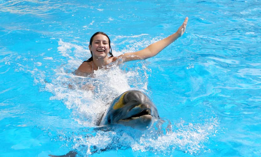 Spectacle de dauphins premium à Alanya – guide et transfert hôtel 5
