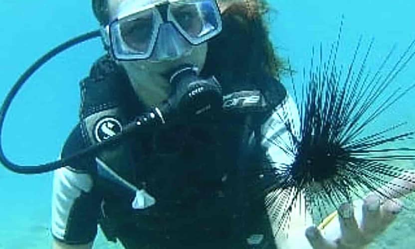 Kemer Diving Tour Departing from Antalya: 2 Dives, Transfer and Meal 3