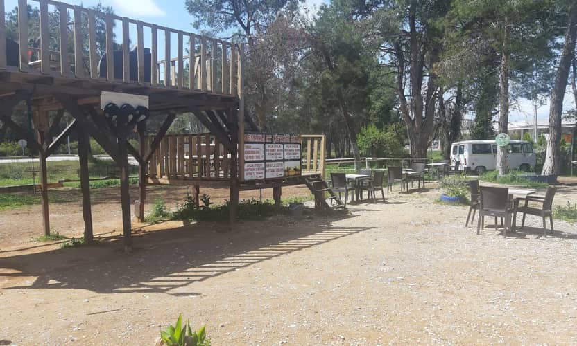 Side At Binme Turu: Çam Ormanı Patikaları ve Kumsal Keyfi 6