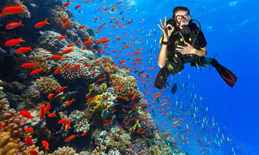 Marmaris: Full Day Scuba Diving w / Lunch Experience 1