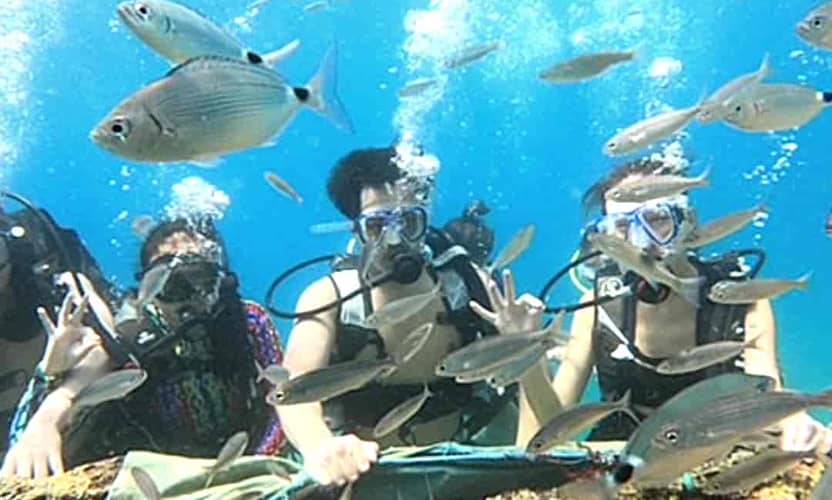 Kemer Diving Tour Departing from Antalya: 2 Dives, Transfer and Meal 5