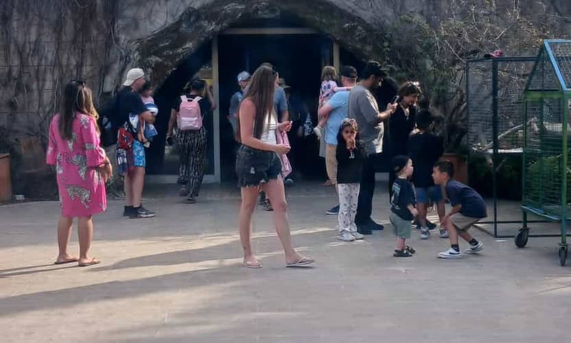 Safari mix à Alanya avec visite du zoo et balade en bateau 2