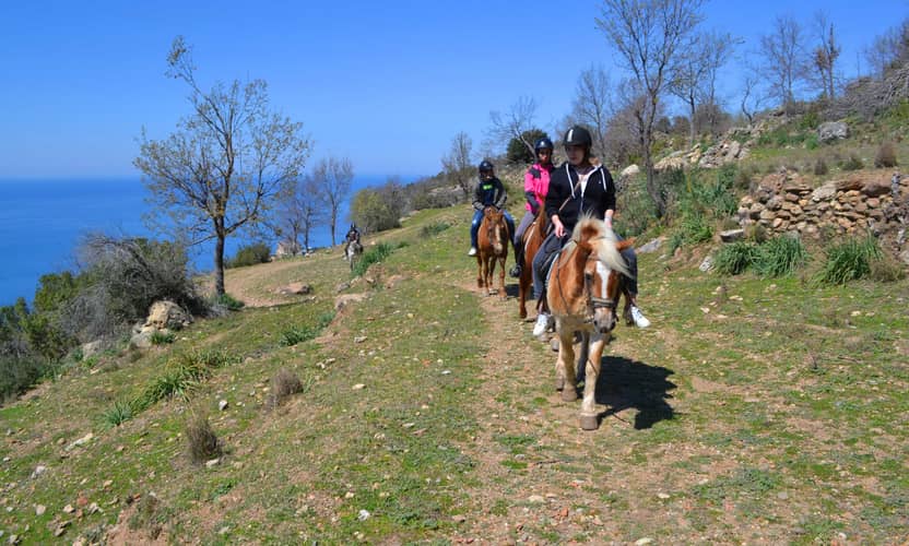 Alanya Horse Riding Tour Through Pine Forests to Ancient Syedra 3