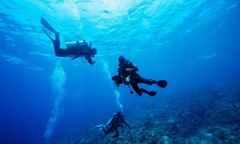 Marmaris: Full Day Scuba Diving w / Lunch Experience 3