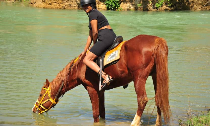 Alanya Avsallar Horse Riding: 1-Hour Trail Ride with Transfer 2