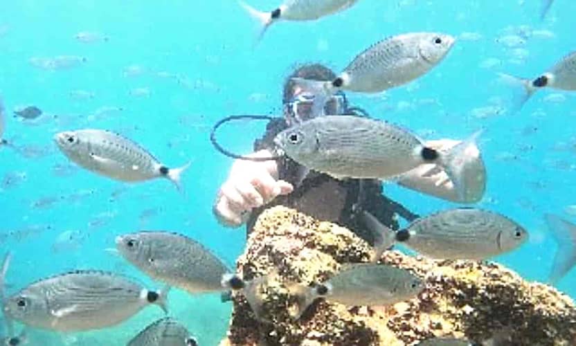 Kemer Diving Tour Departing from Antalya: 2 Dives, Transfer and Meal 6