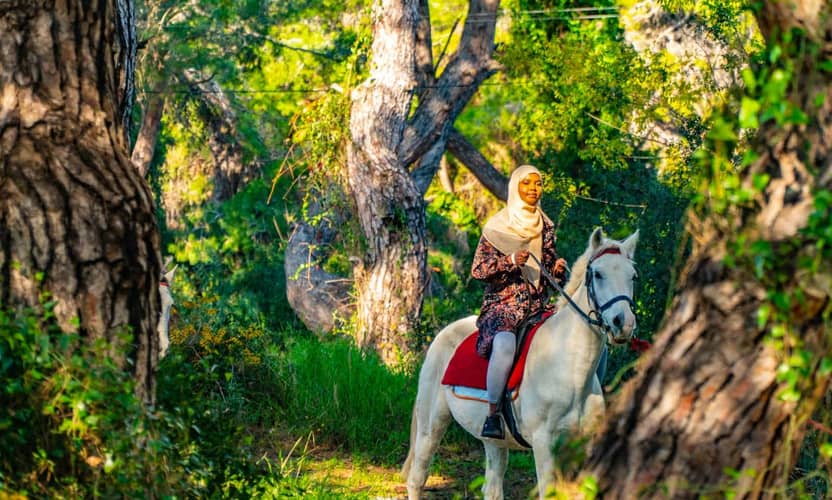 Premium Horse Riding in Antalya: Pine Forest to Lara Beach 5