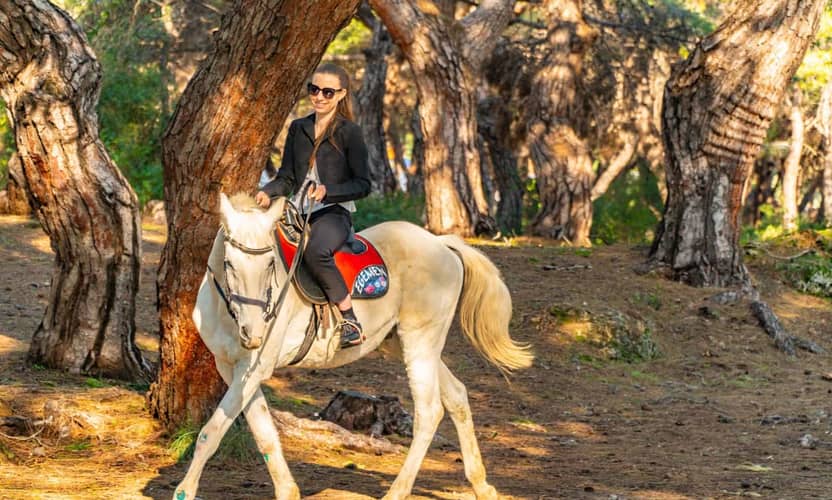 Antalya Horseback Riding on Shaded Forest Tracks to the Coast 3