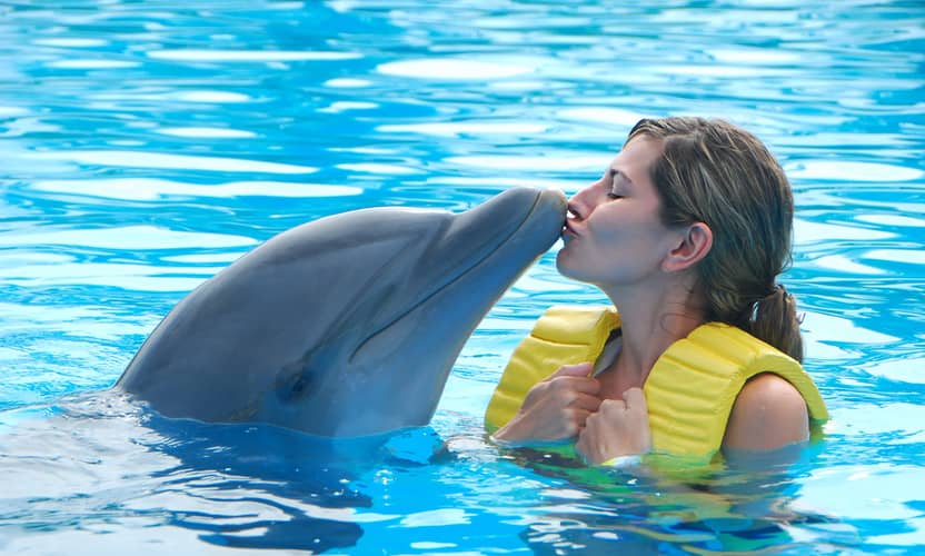 Schwimmen mit Delfinen ab Side: Begegnung im Delfinpark Aksu 4