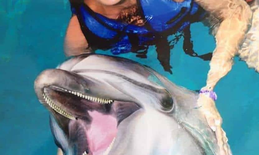 Spectacle de dauphins premium à Alanya – guide et transfert hôtel 7
