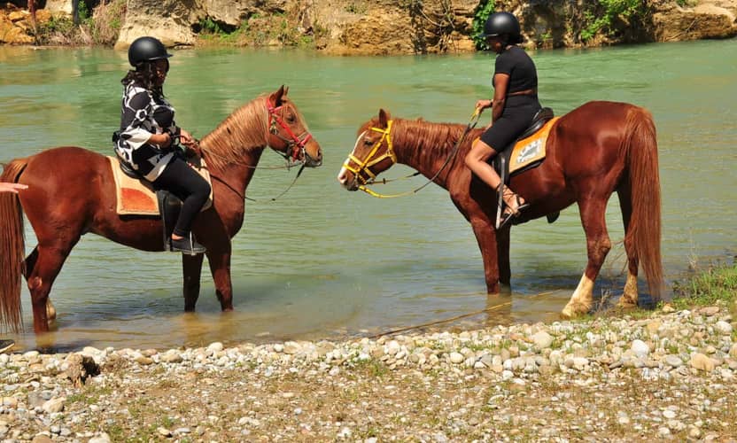 Alanya Avsallar Horse Riding: 1-Hour Trail Ride with Transfer 3