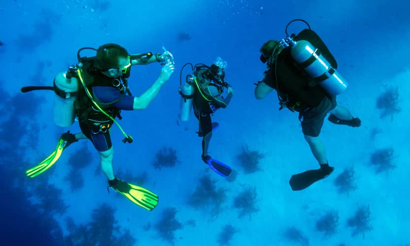 Marmaris: Full Day Scuba Diving w / Lunch Experience 2