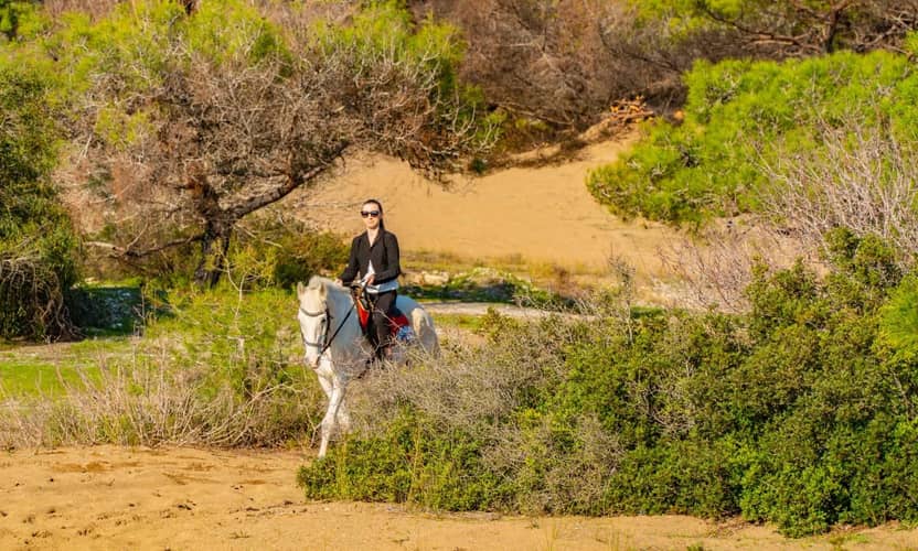Antalya Horseback Riding on Shaded Forest Tracks to the Coast 9