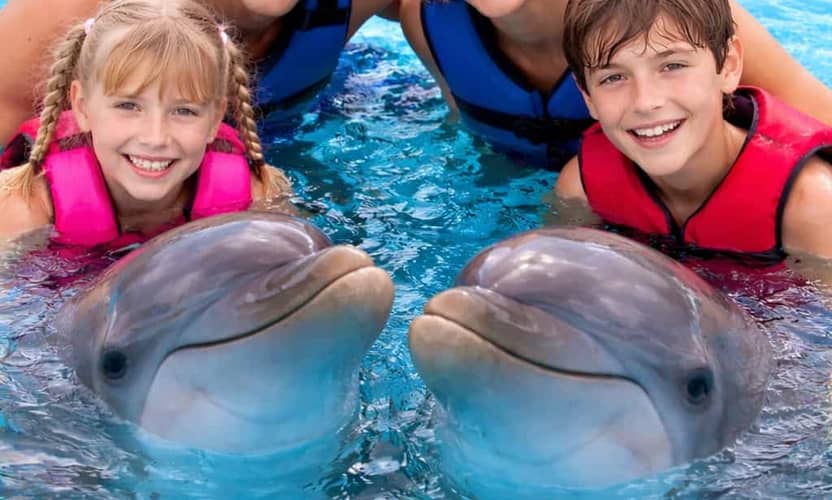 Mit Delfinen schwimmen: Hoteltransfer und erfahrene Trainer 1