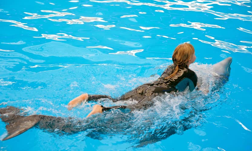 Spectacle de dauphins premium à Alanya – guide et transfert hôtel 3