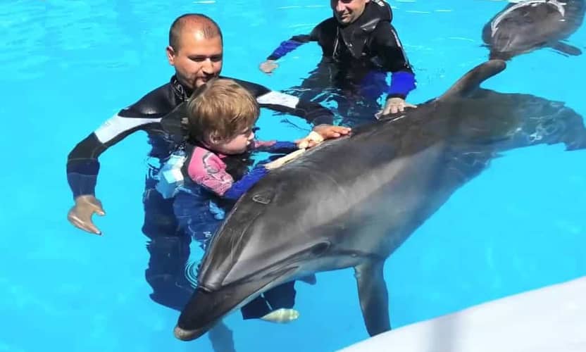 Schwimmen mit Delfinen ab Side: Begegnung im Delfinpark Aksu 3