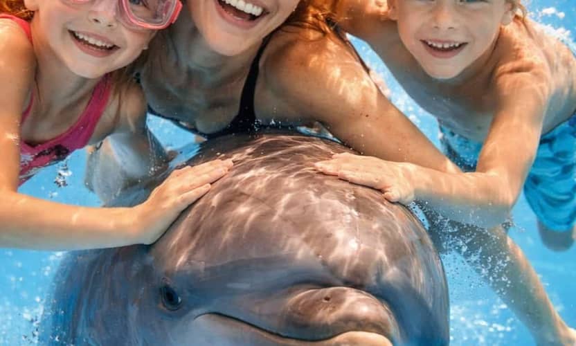 Swim with Dolphins in Alanya: Premium Tour with Transfer 1