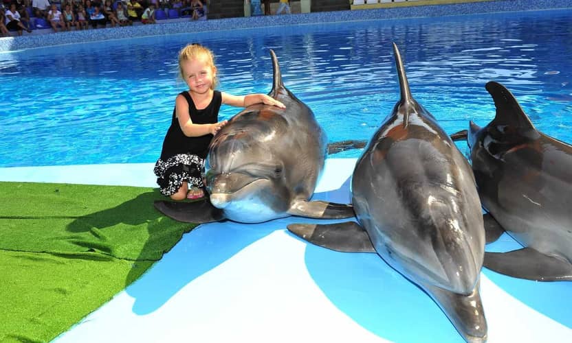 Alanya Dolphin Swim: An Unforgettable Family Adventure 1