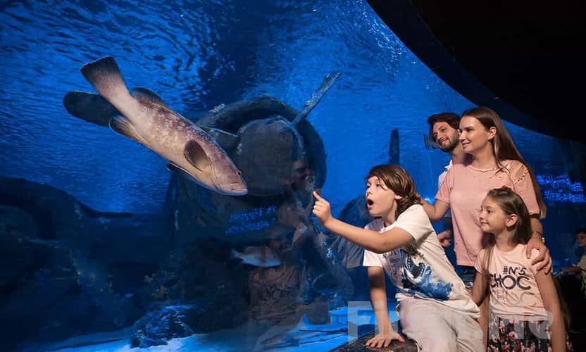 Antalya Aquarium Entry and Shark Tunnel Walk with Hotel Transfer 2
